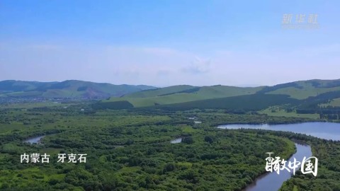 瞰中国｜初夏遇见牙克石